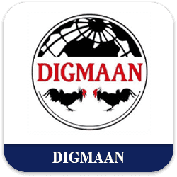 Digmaan Gaming Logo