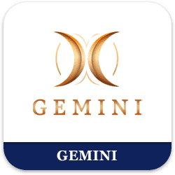 Gemini provider Gaming Logo
