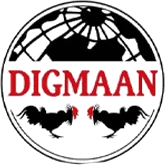 Digmaan Gaming Logo